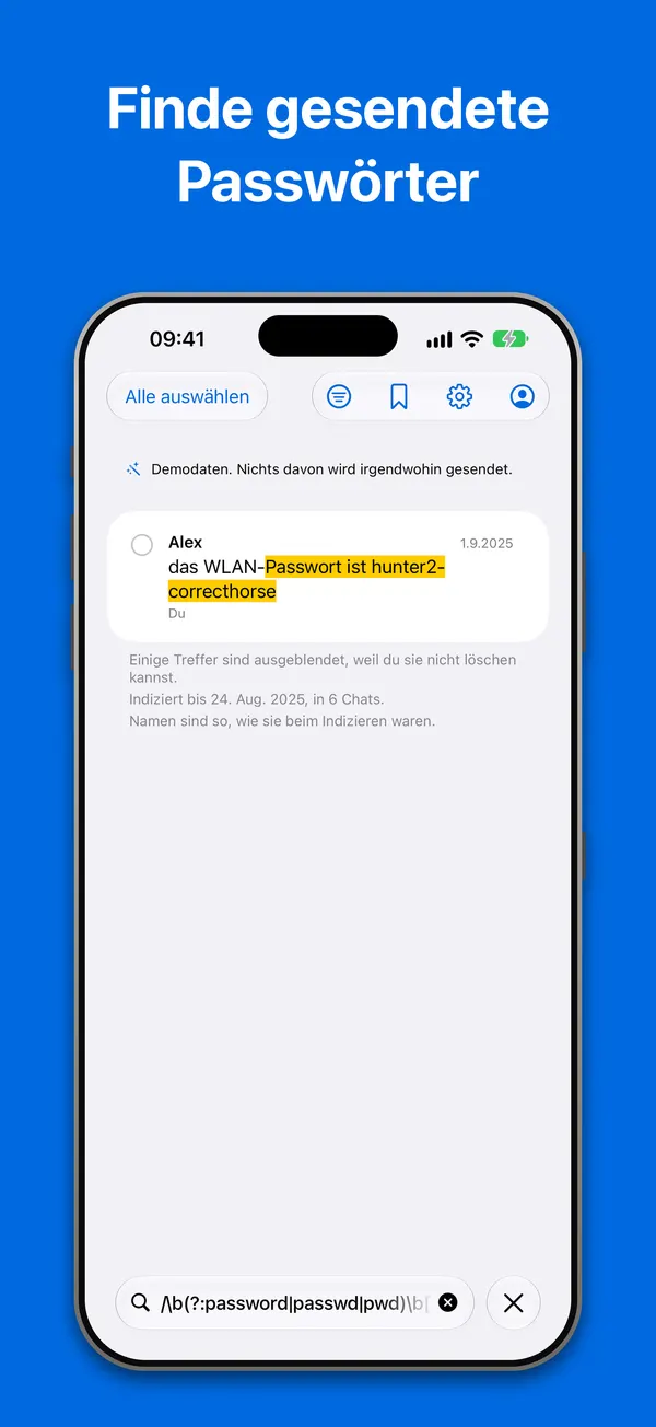 Suche: Ein regulärer Ausdruck findet ein in einem Chat gesendetes WLAN-Passwort, im eingebauten Demoarchiv