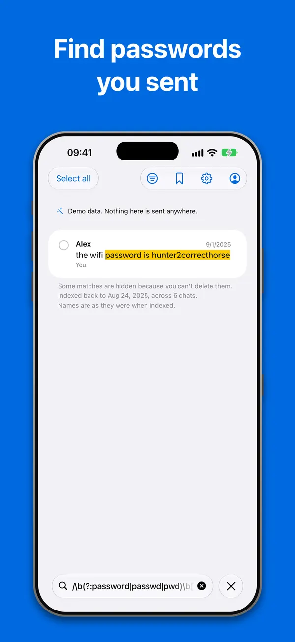 Search: a regular expression finds a wifi password sent in a chat, over the built-in demo archive